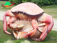 Exciting Custom Inflatable Crab For Decoration
