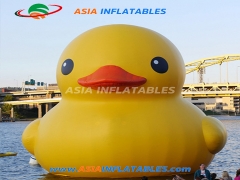 LED Light Custom Cute Inflatable Duck Cartoon For Pool Floating