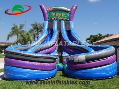 Inflatable Twin Falls Water Slide