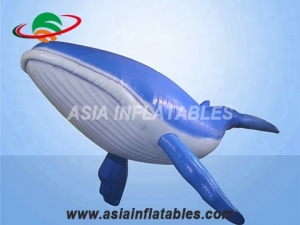 Giant blue whale inflatable