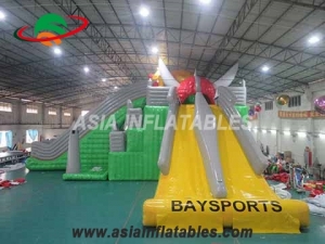 Inflatable Custom Inflatable Slide